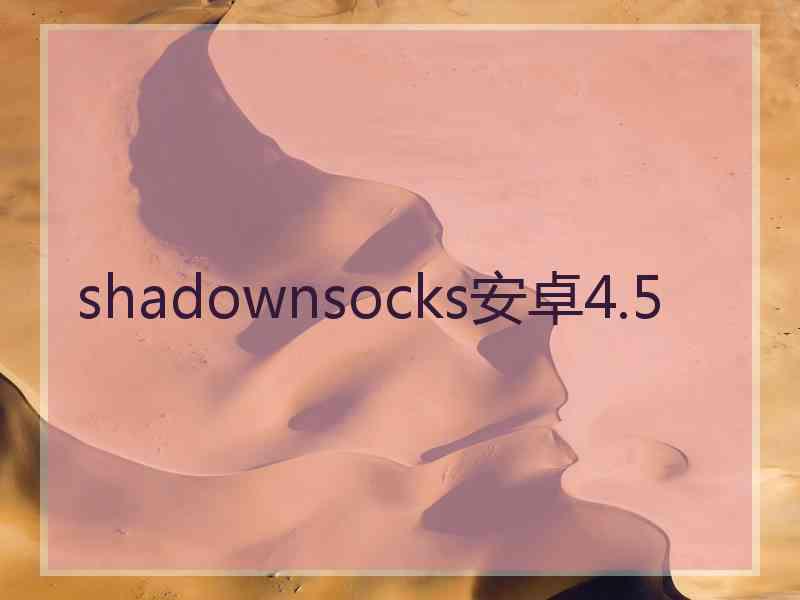 shadownsocks安卓4.5