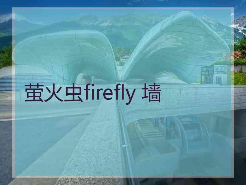 萤火虫firefly 墙