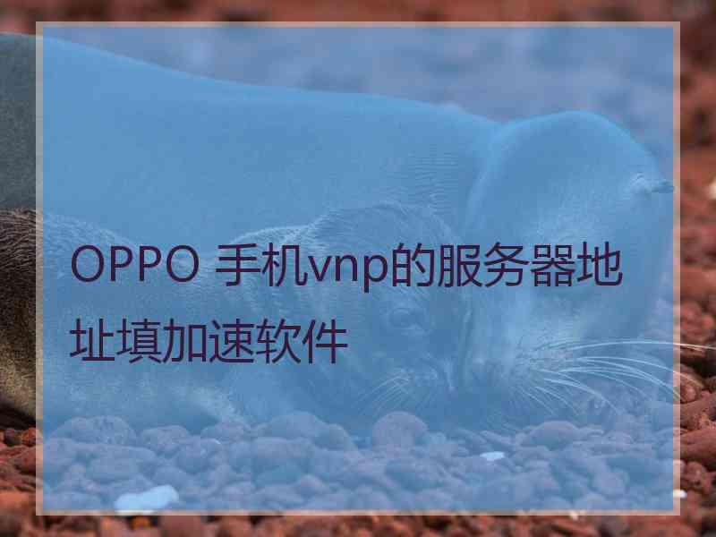 OPPO 手机vnp的服务器地址填加速软件