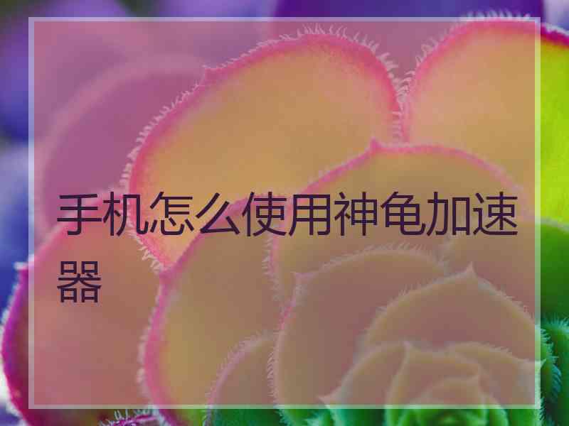 手机怎么使用神龟加速器