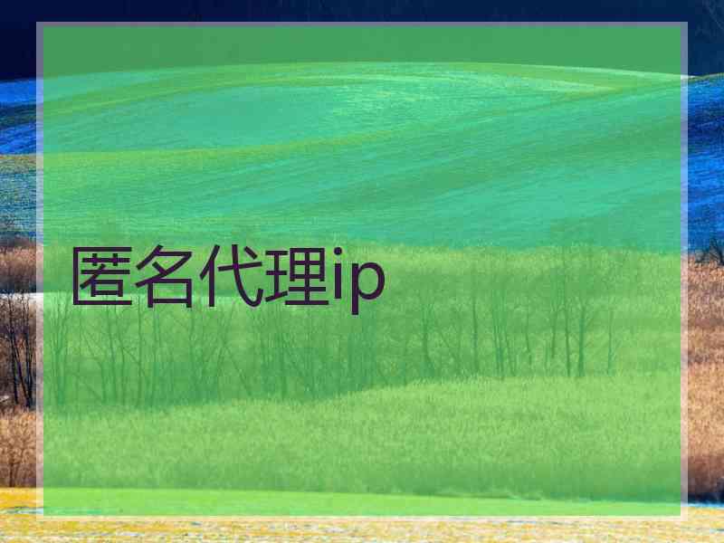 匿名代理ip