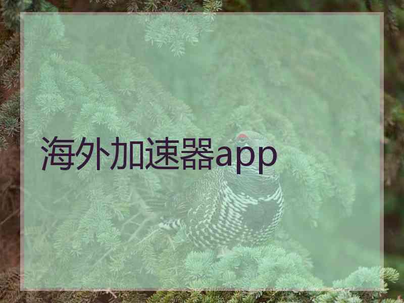 海外加速器app