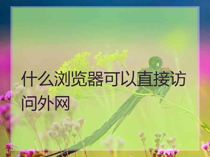 什么浏览器可以直接访问外网