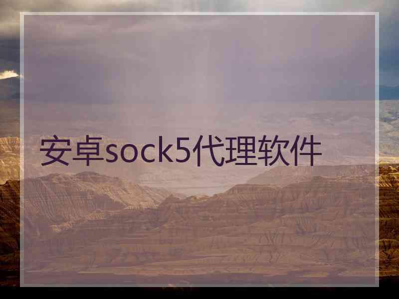 安卓sock5代理软件