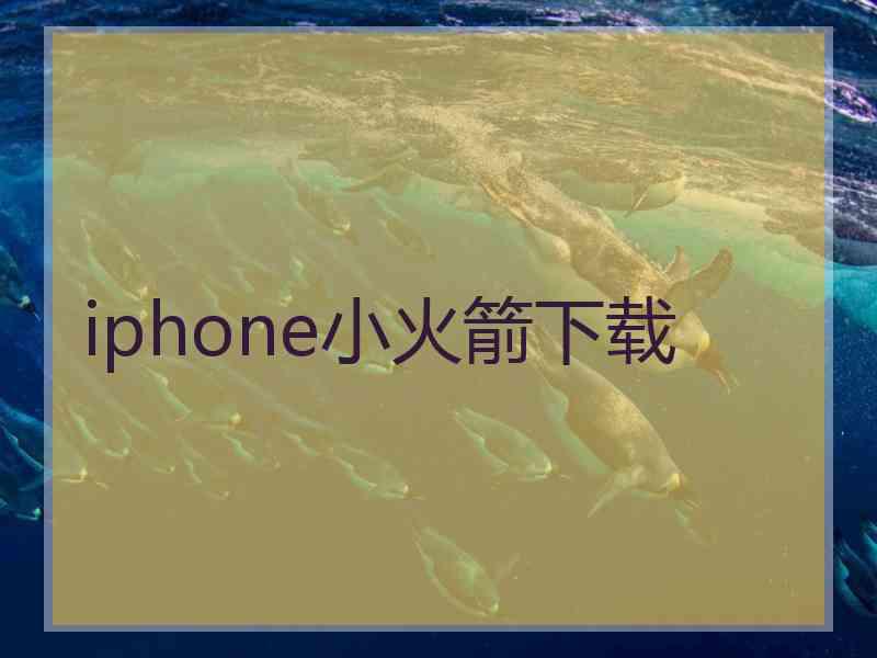 iphone小火箭下载