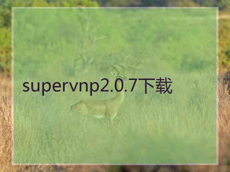 supervnp2.0.7下载