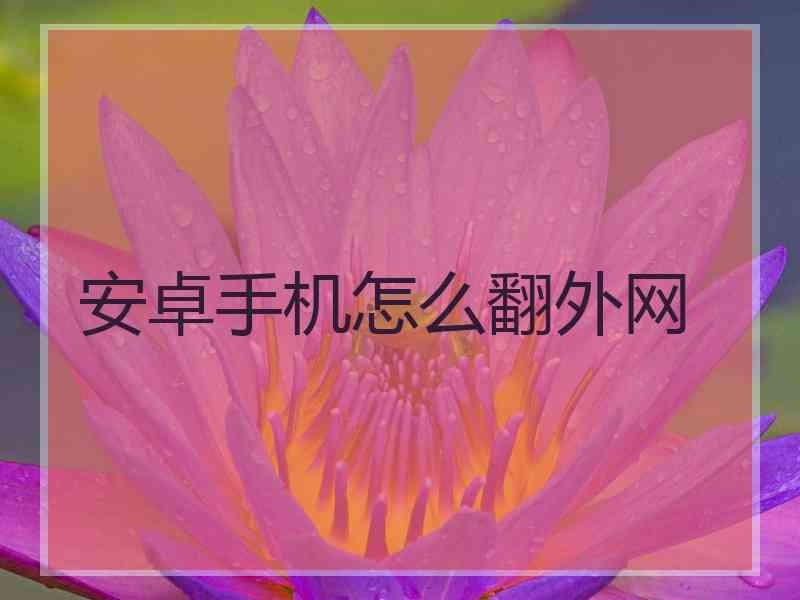 安卓手机怎么翻外网