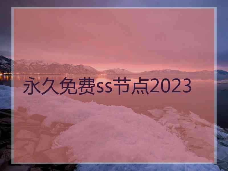 永久免费ss节点2023