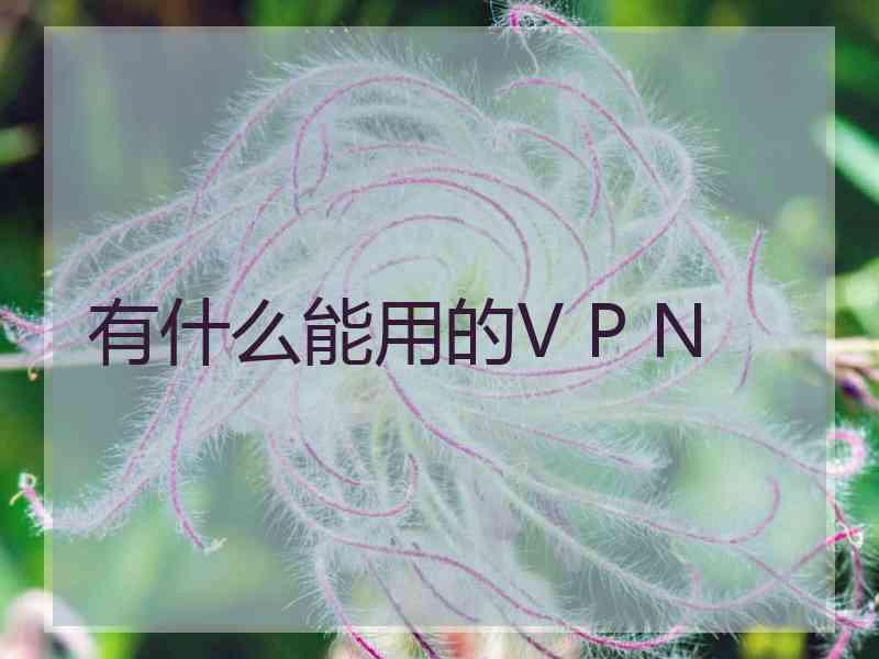 有什么能用的V P N