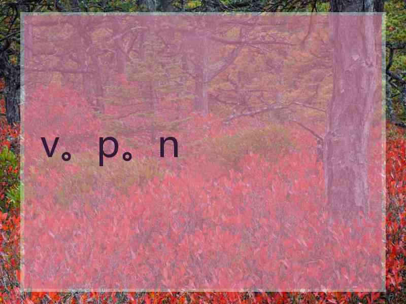 v。p。n