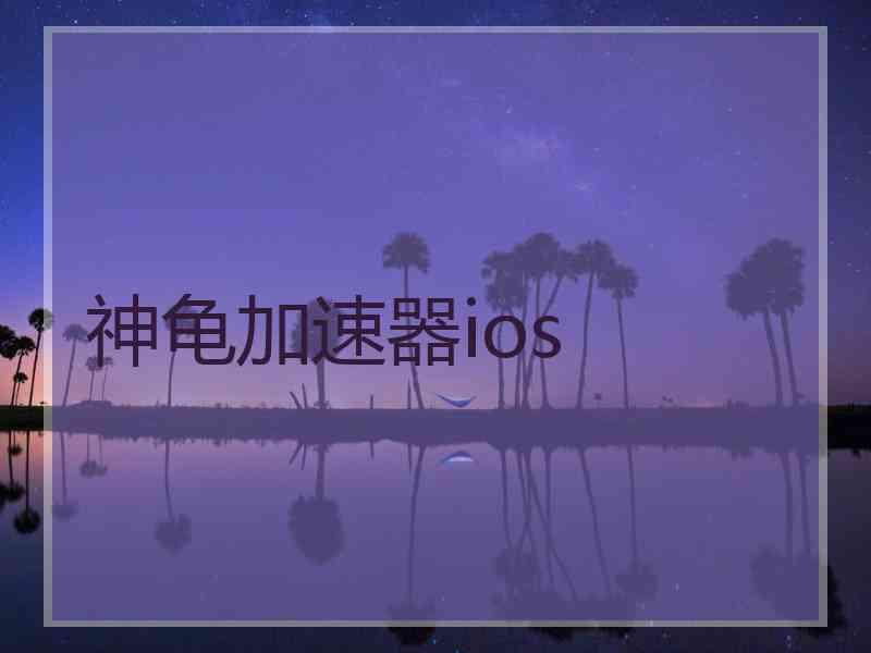 神龟加速器ios