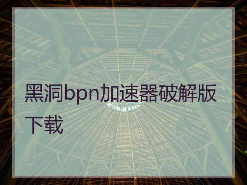 黑洞bpn加速器破解版下载