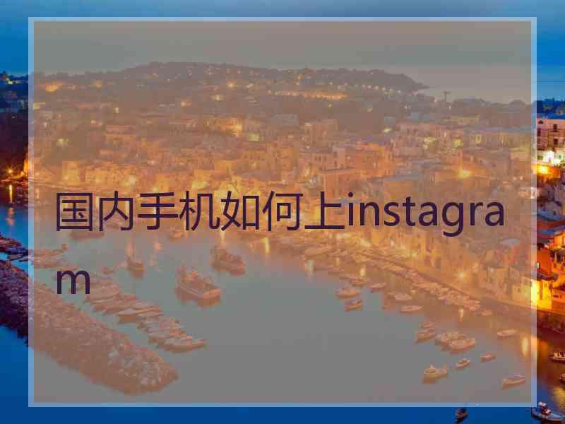 国内手机如何上instagram