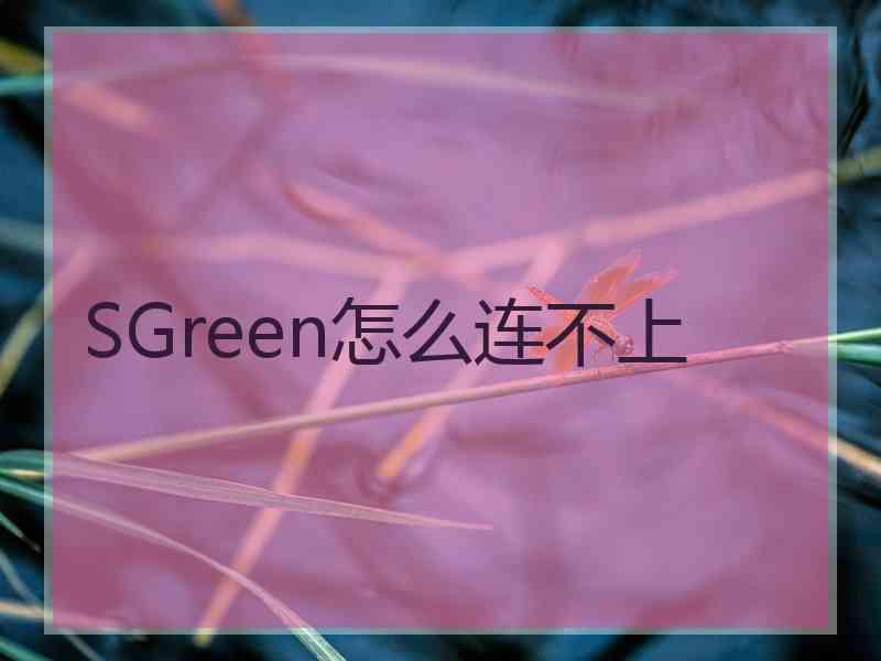 SGreen怎么连不上