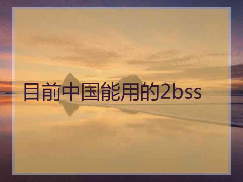 目前中国能用的2bss