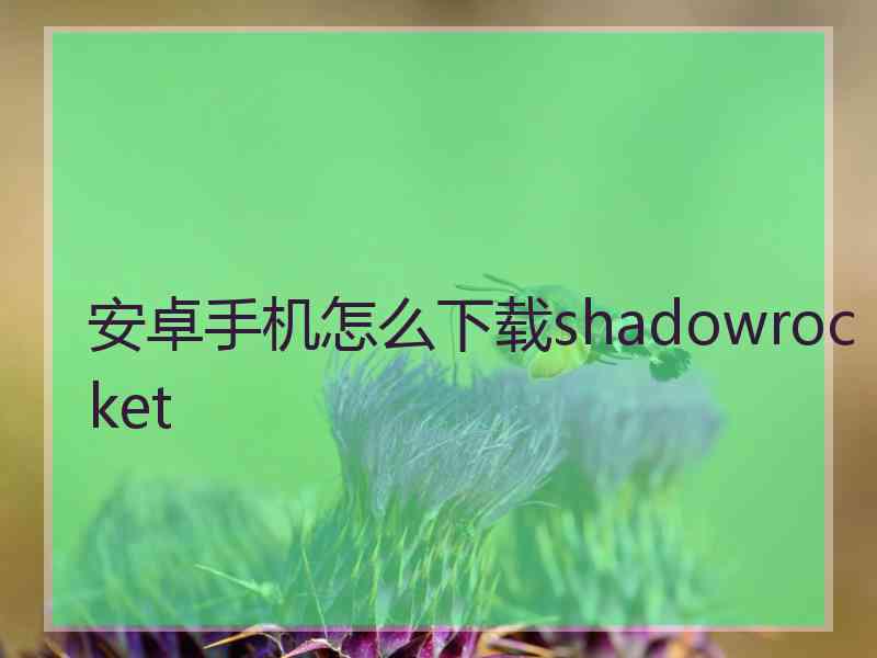 安卓手机怎么下载shadowrocket