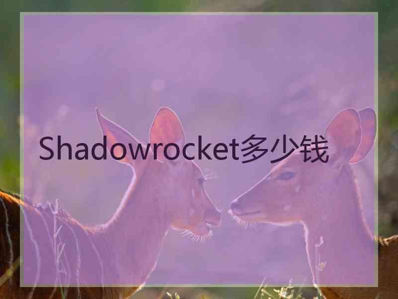 Shadowrocket多少钱