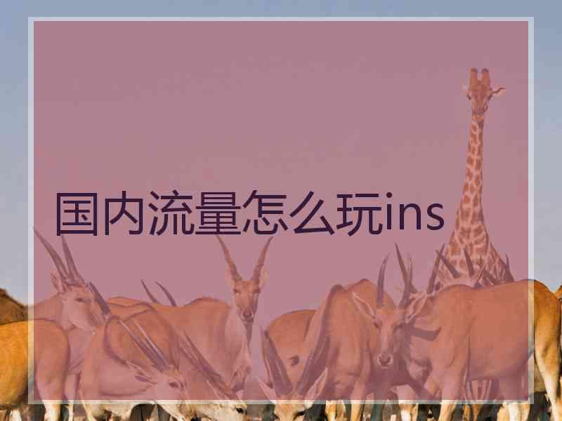 国内流量怎么玩ins