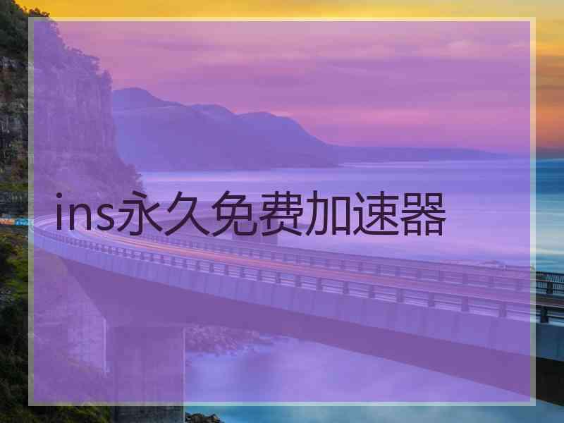 ins永久免费加速器