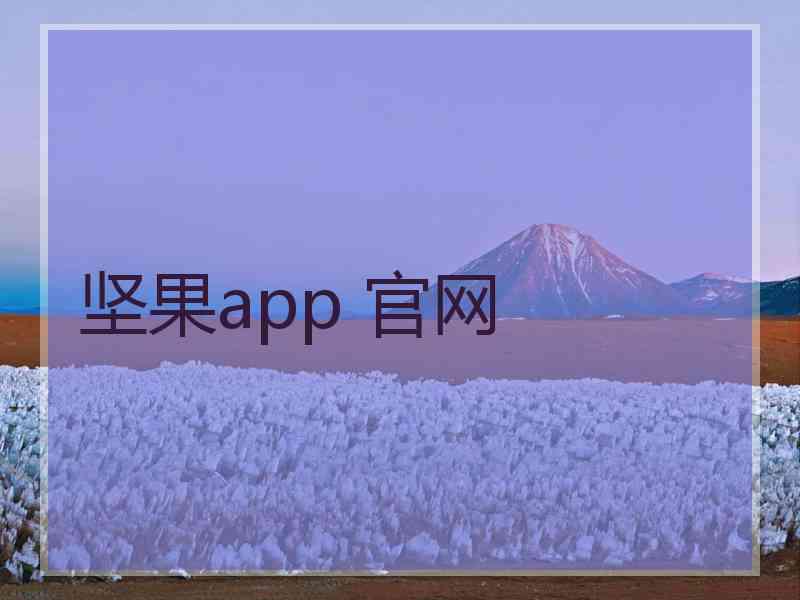 坚果app 官网