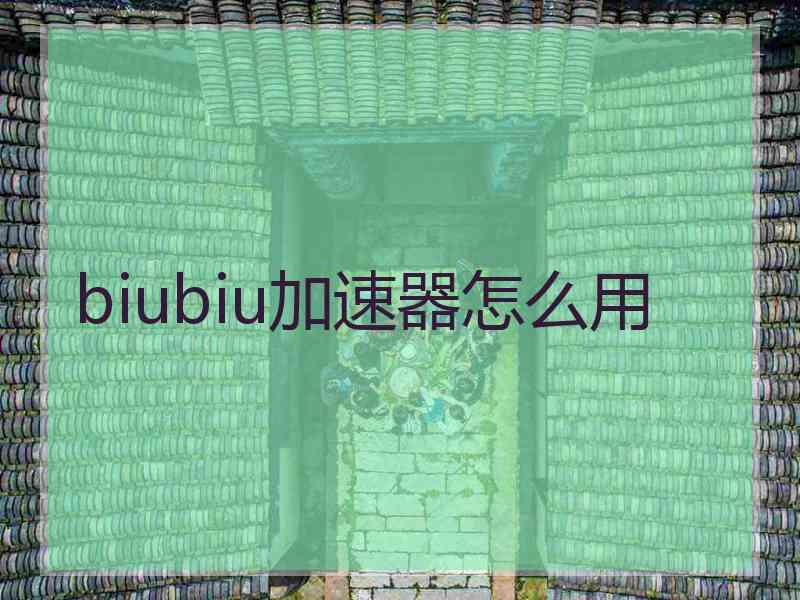 biubiu加速器怎么用