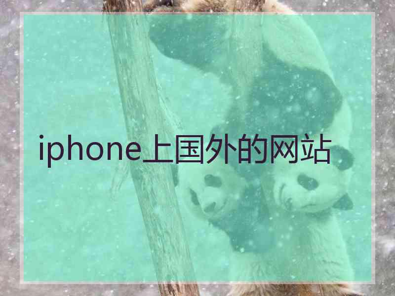 iphone上国外的网站