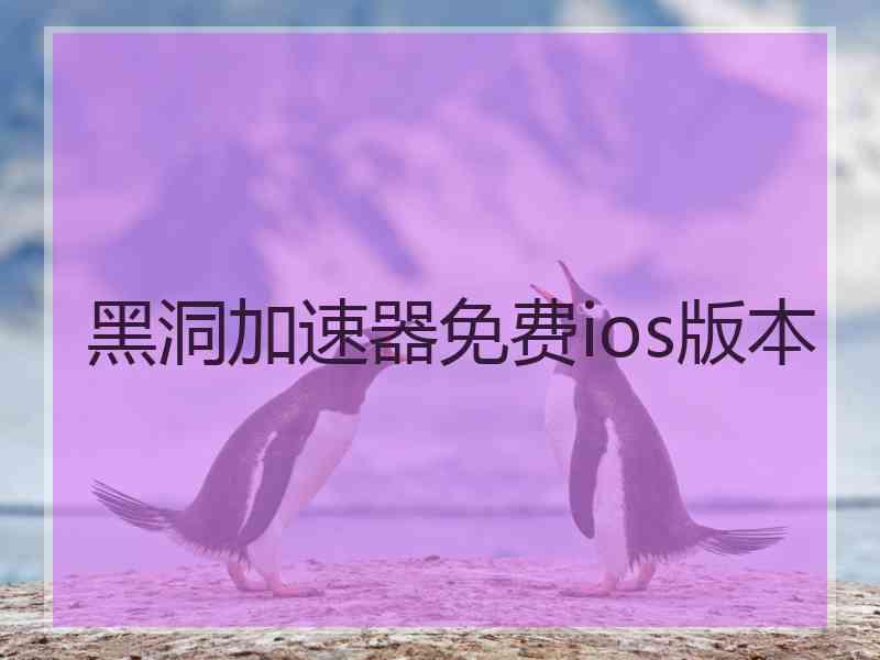 黑洞加速器免费ios版本