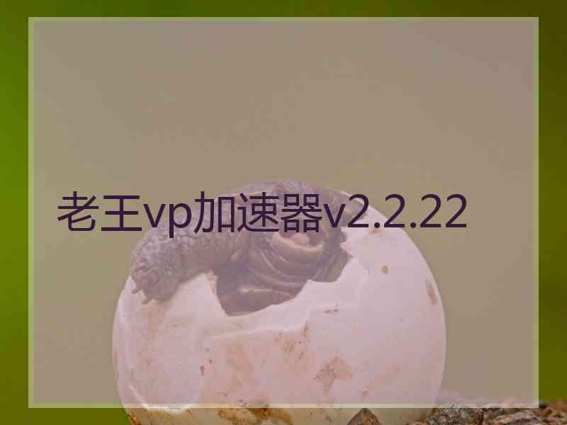 老王vp加速器v2.2.22