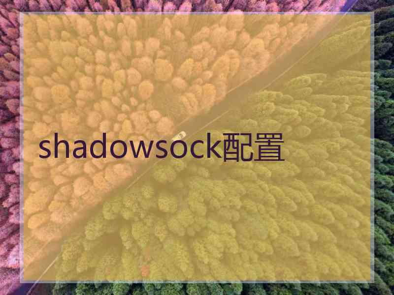 shadowsock配置