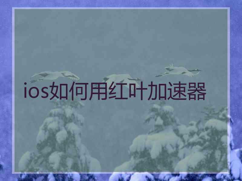 ios如何用红叶加速器