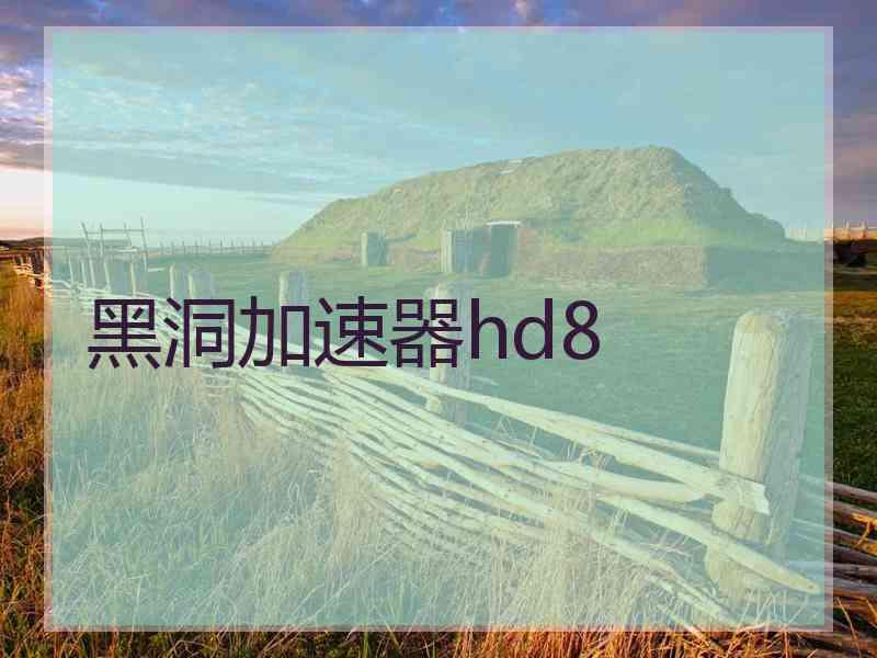 黑洞加速器hd8