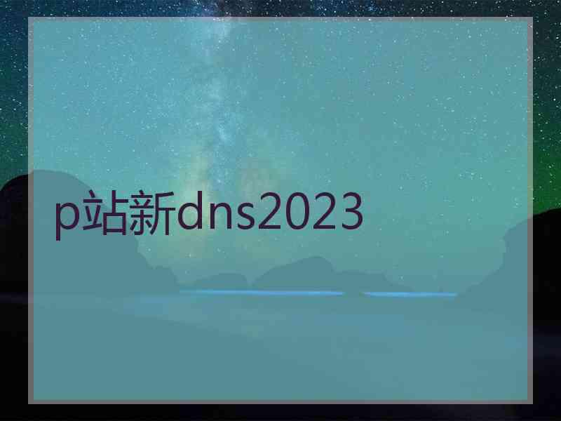 p站新dns2023