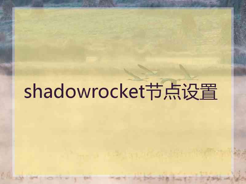 shadowrocket节点设置