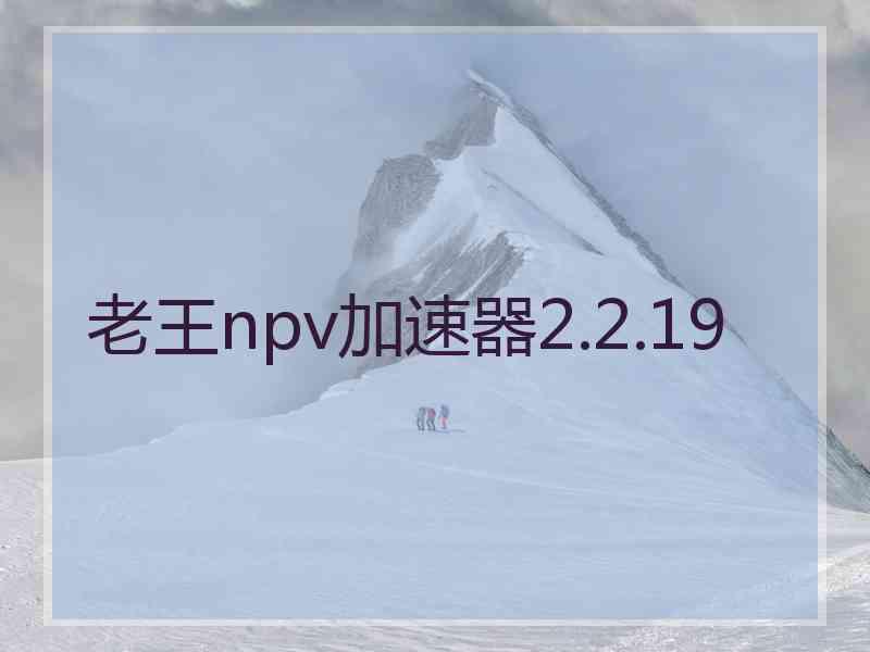 老王npv加速器2.2.19