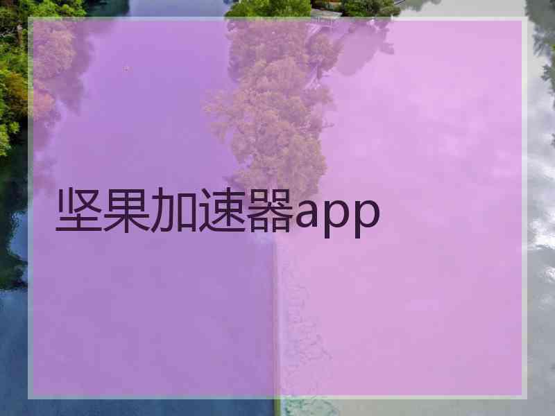 坚果加速器app