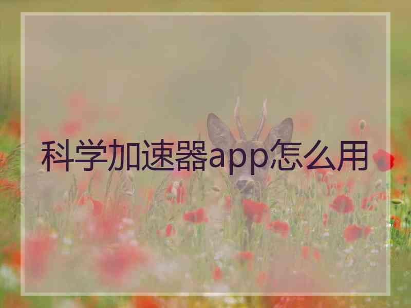 科学加速器app怎么用