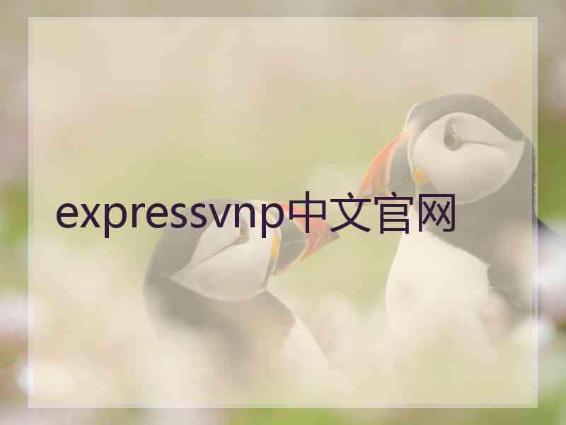 expressvnp中文官网