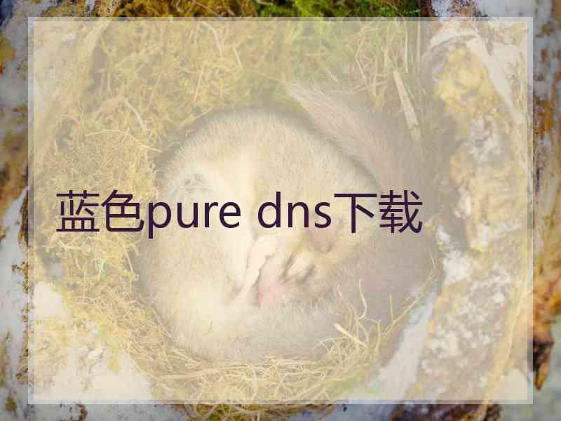 蓝色pure dns下载