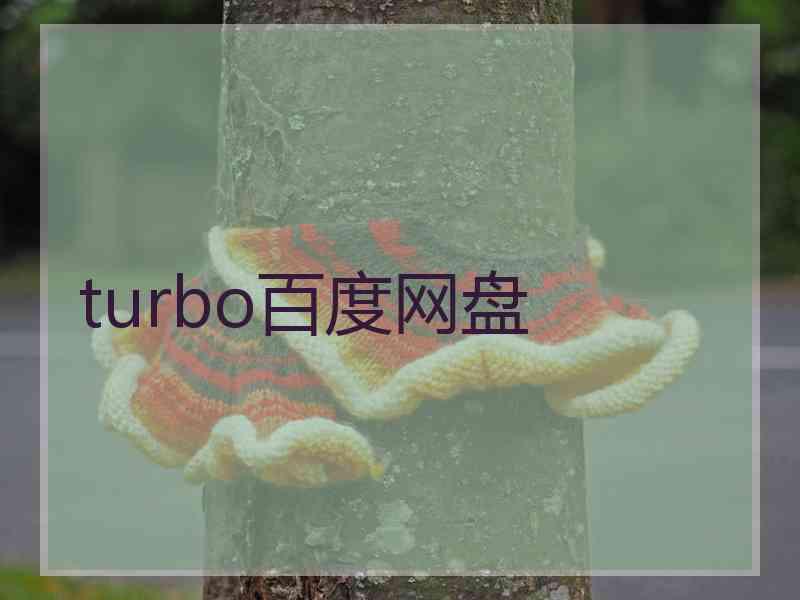 turbo百度网盘