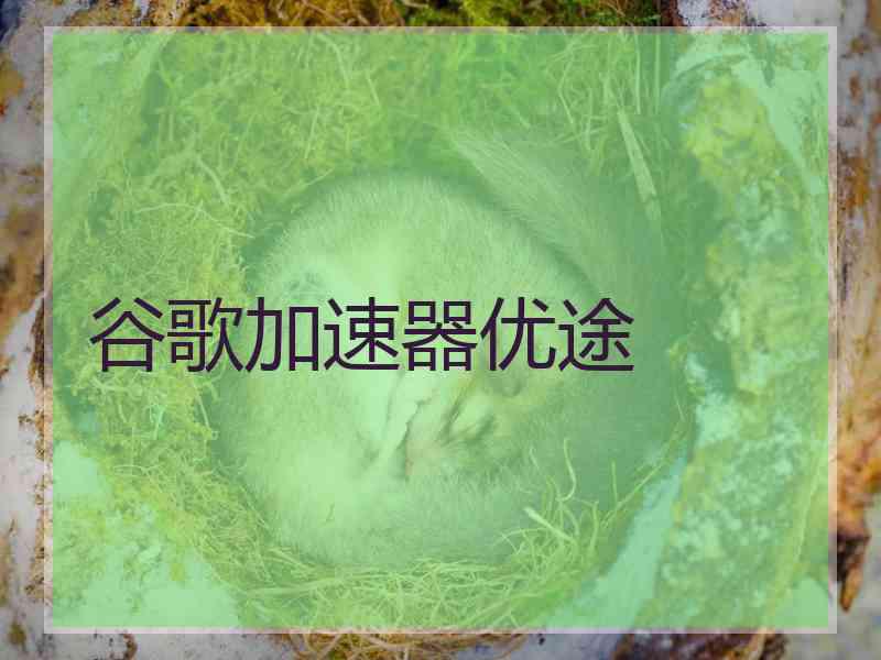 谷歌加速器优途