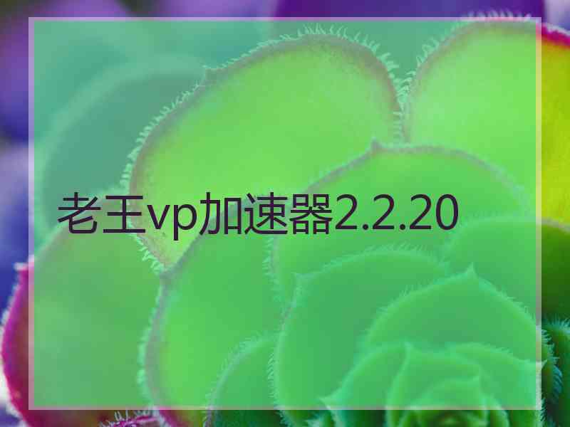 老王vp加速器2.2.20