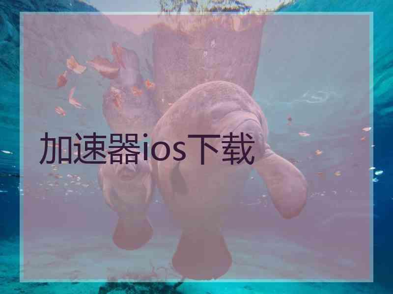 加速器ios下载